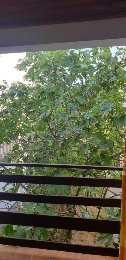 Apartment Tonci Rab Town Buitenkant foto